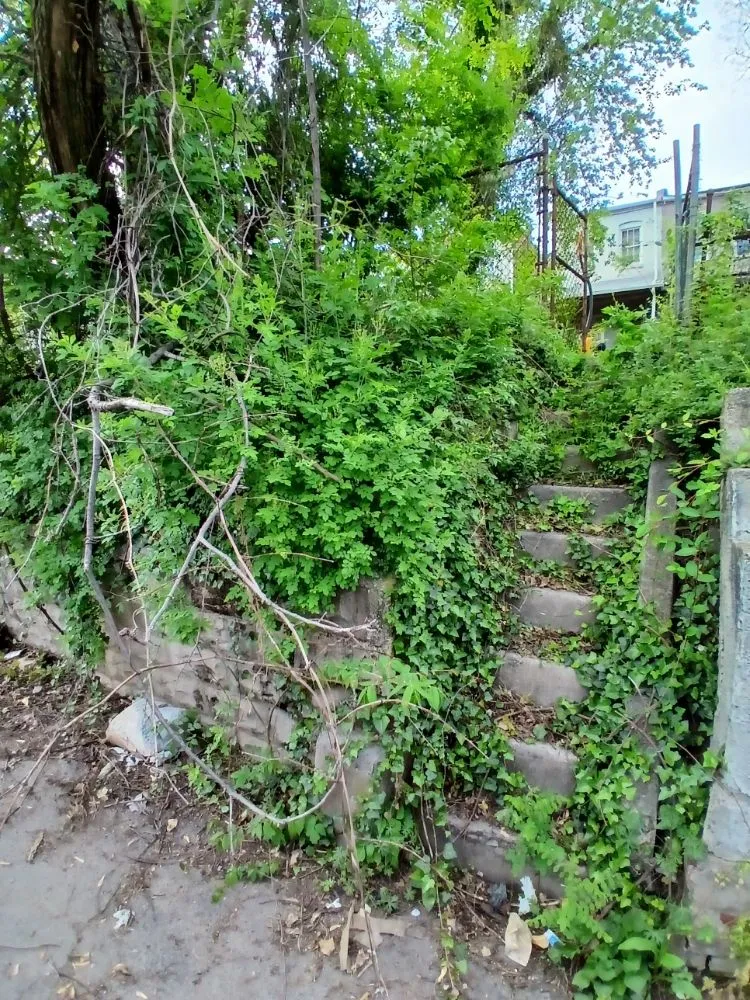 Custom outdoor landscaping in Baltimore, MD by Sons of God landscaping