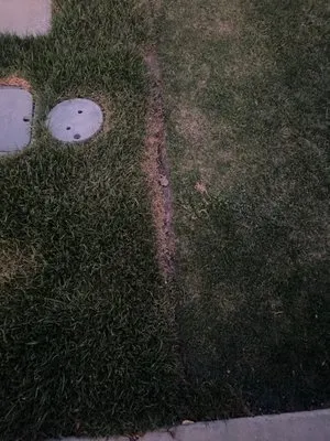 Sonshine Landscape Logo