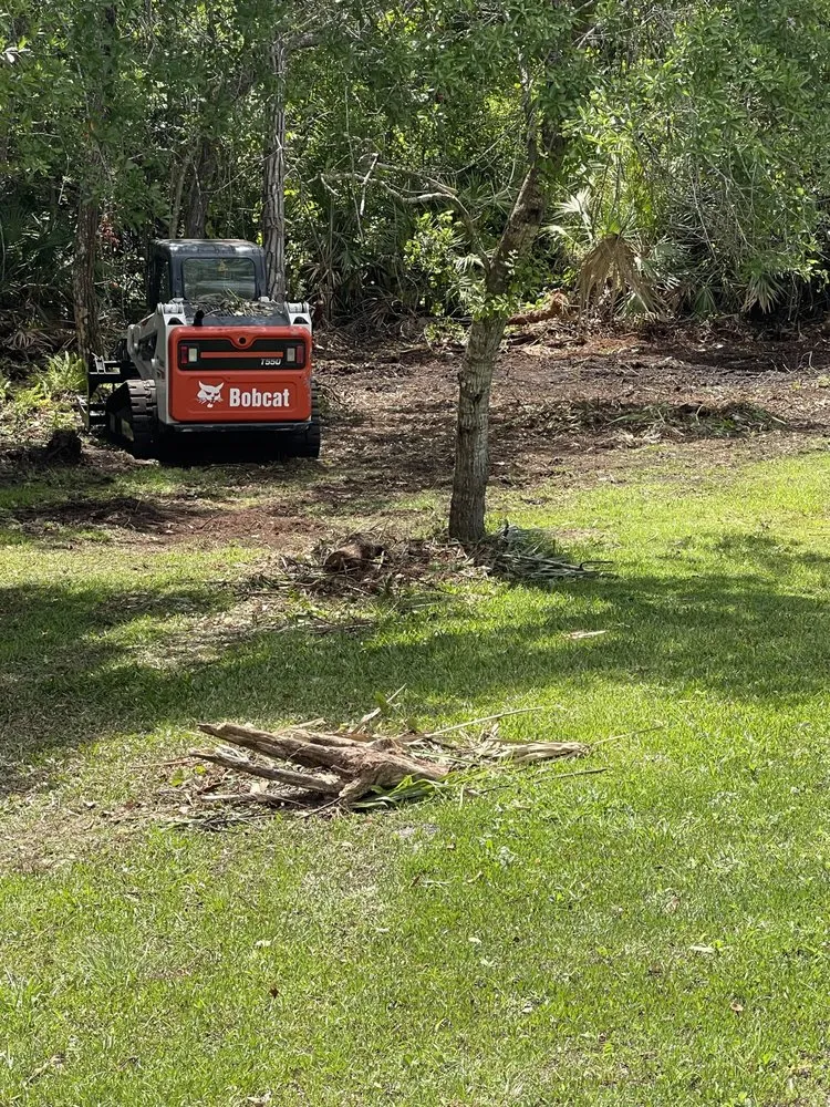 Trusted outdoor landscaping for year-round maintenance across Dundee, FL - Sonshine Tree Removal and Landscaping