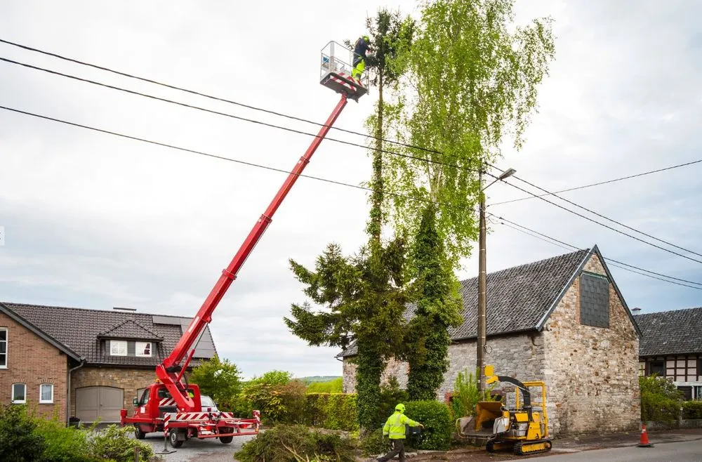 Expert residential landscaping in Dundee, FL by Sonshine Tree Removal and Landscaping