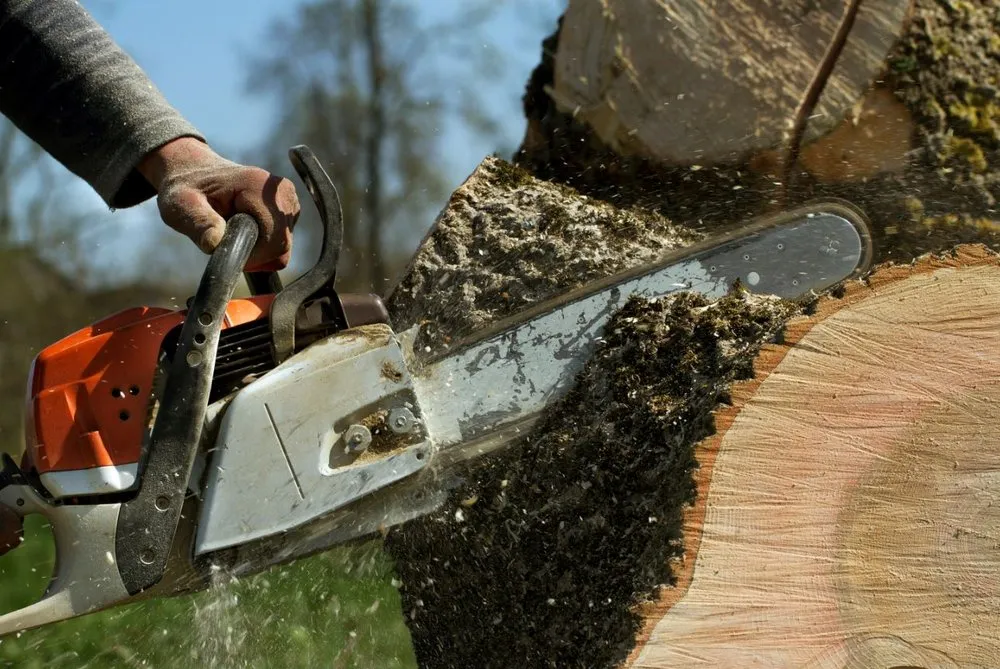 Local landscape installation for homes in Dundee, FL by Sonshine Tree Removal and Landscaping