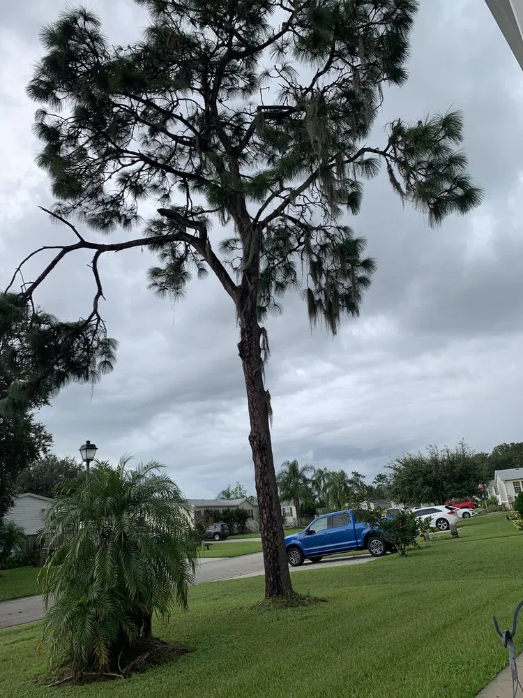 Reliable landscape installation for residential properties in Dundee, FL by Sonshine Tree Removal and Landscaping