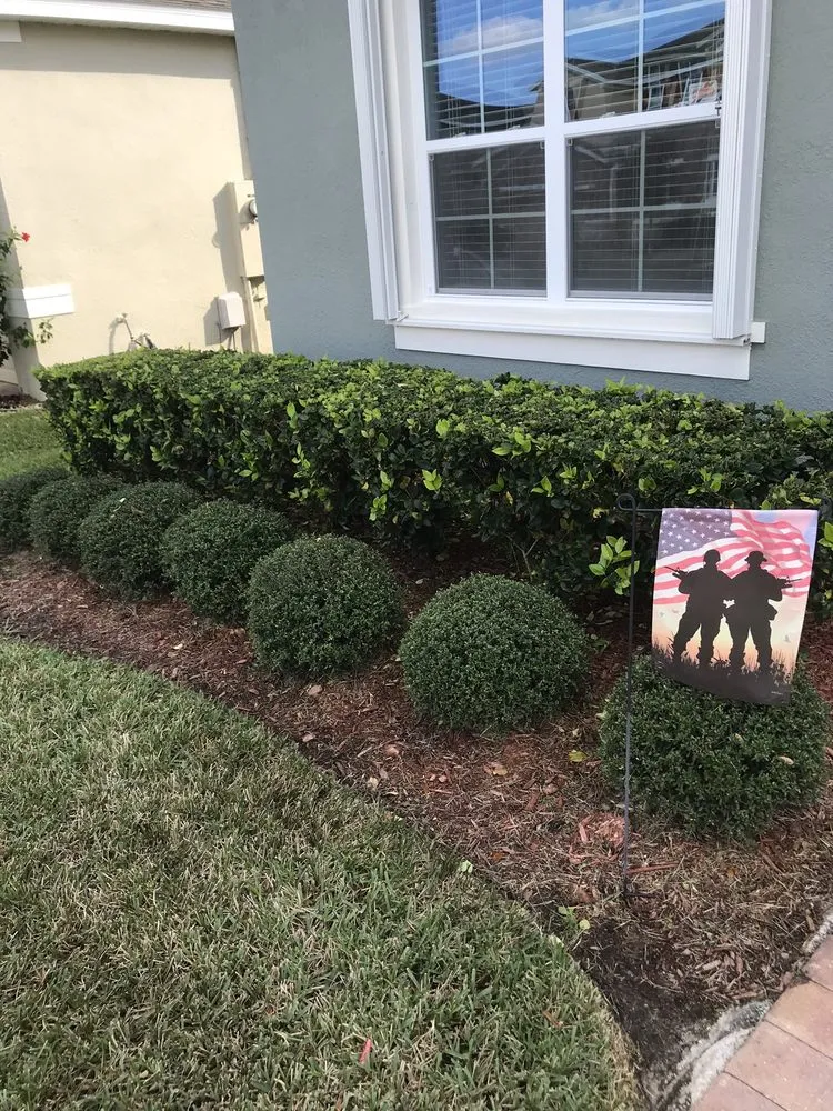 Trusted garden landscaping for residential properties across Dundee, FL - Sonshine Tree Removal and Landscaping