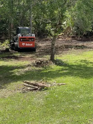 Sonshine Tree Removal and Landscaping
