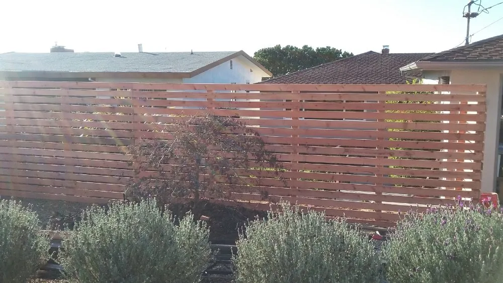 Expert landscape installation for year-round maintenance in Richmond, CA by sontay landscaping