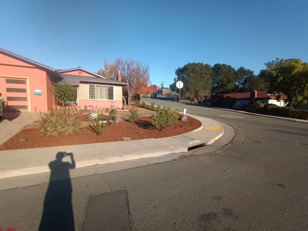 Reliable yard cleanup service experts serving Richmond, CA - sontay landscaping