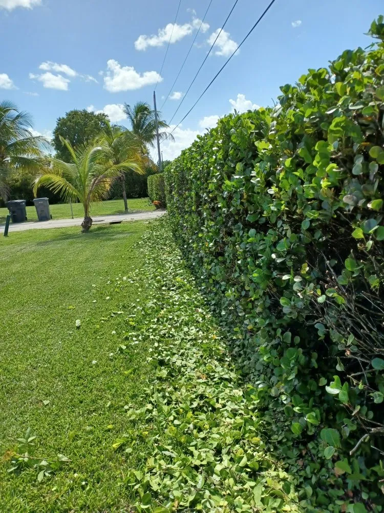 Local yard maintenance experts serving Jupiter, FL - Sontay Lawn Care & Landscaping