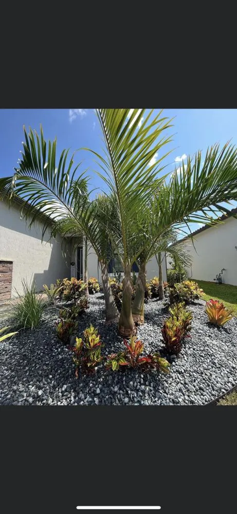 Custom outdoor landscaping in Jupiter, FL by Sontay Lawn Care & Landscaping