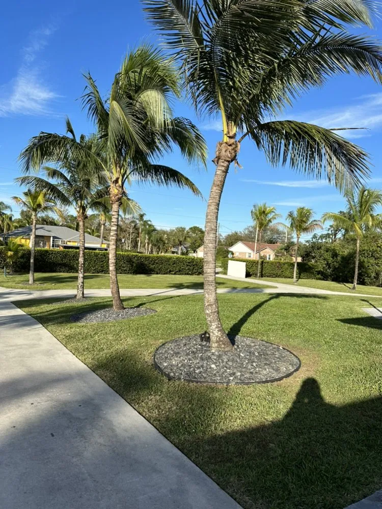 Expert yard cleanup service for beautiful yards across Jupiter, FL - Sontay Lawn Care & Landscaping