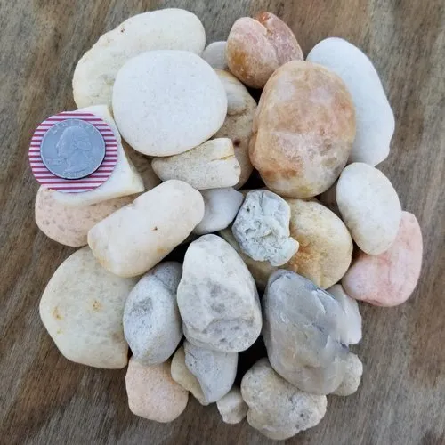 Trusted landscape design experts serving Sanibel, FL - Soon Come Landscaping