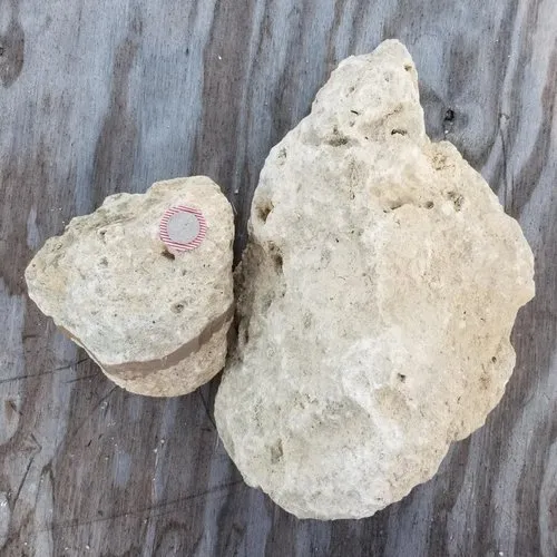 Trusted landscape design for residential properties across Sanibel, FL - Soon Come Landscaping