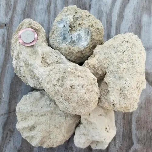 Affordable yard cleanup service for year-round maintenance across Sanibel, FL - Soon Come Landscaping