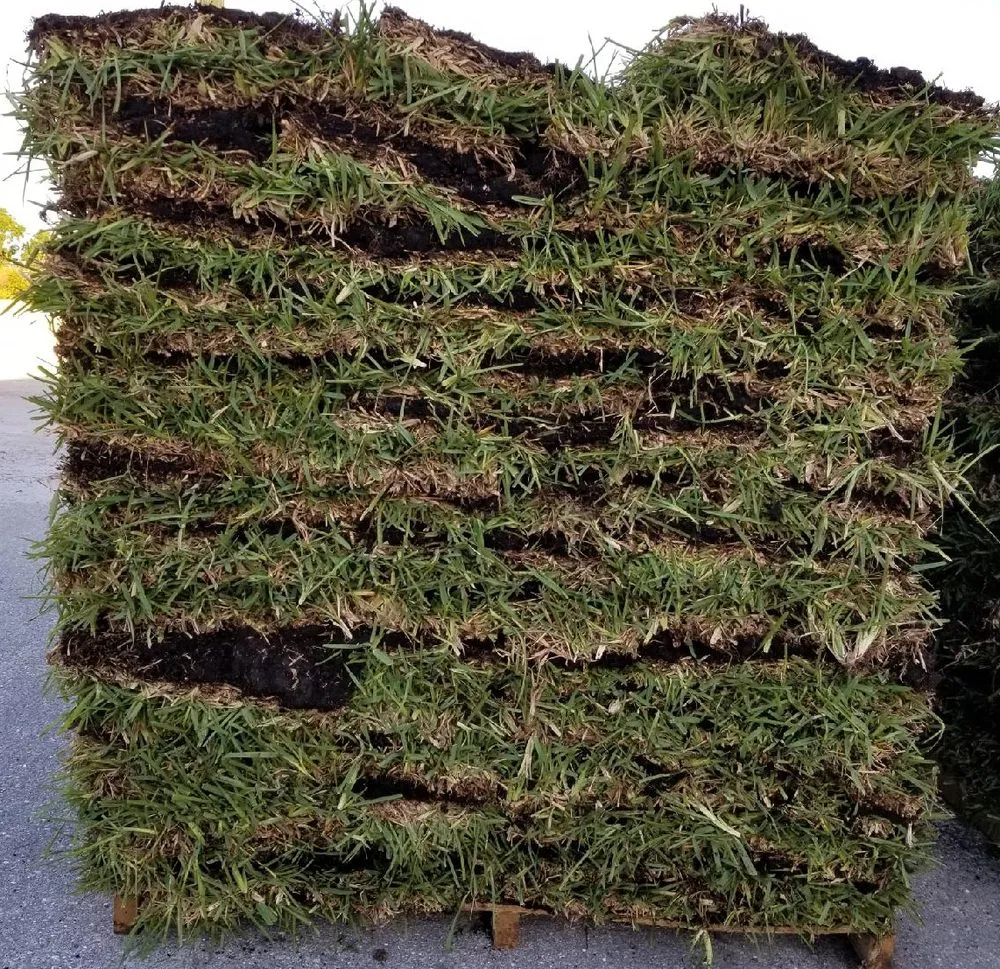 Expert outdoor landscaping experts serving Sanibel, FL - Soon Come Landscaping