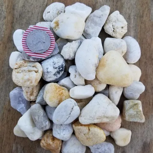 Top-rated yard cleanup service in Sanibel, FL by Soon Come Landscaping