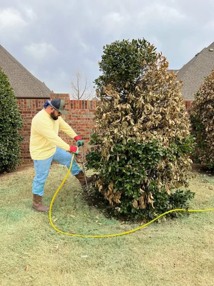 Trusted yard cleanup service in Oklahoma City, OK - Sooner Turf Weed Control And Lawn Care