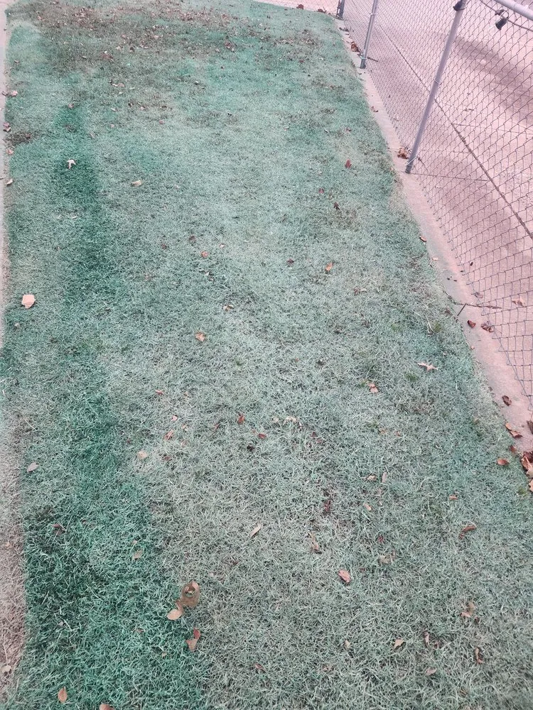 Expert landscape design in Oklahoma City, OK - Sooner Turf Weed Control And Lawn Care