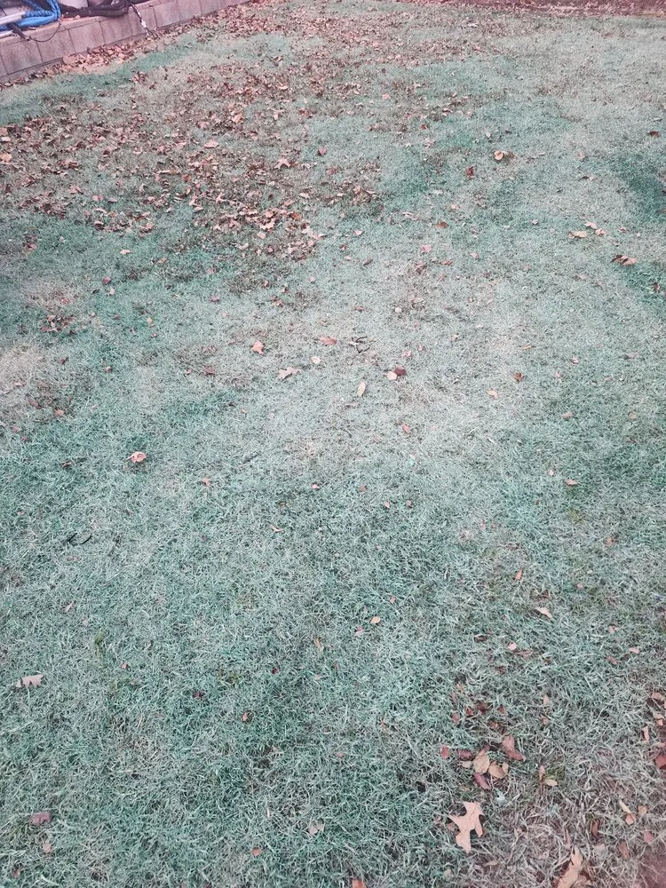 Professional yard maintenance in Oklahoma City, OK - Sooner Turf Weed Control And Lawn Care