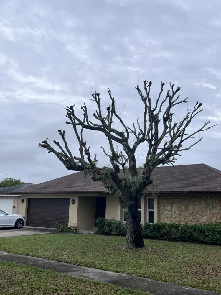 Expert landscape installation experts serving Greenacres, FL - SoonGreen Landscaping Services