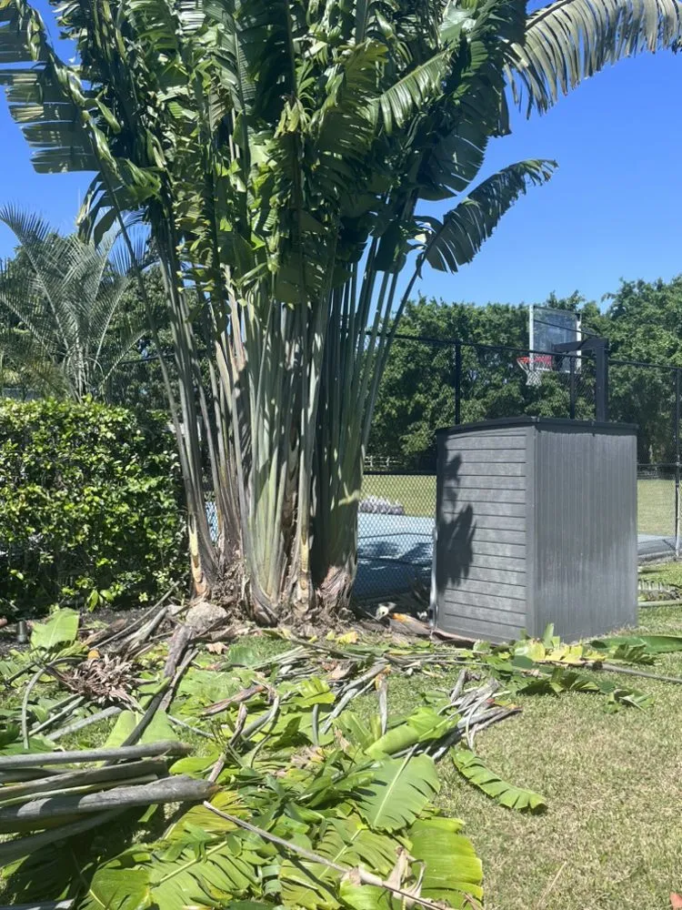 Local garden landscaping in Greenacres, FL - SoonGreen Landscaping Services