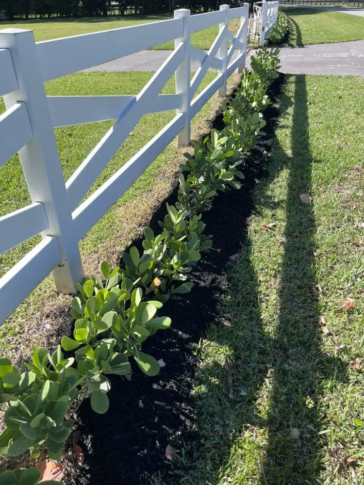 Top-rated lawn care service in Greenacres, FL - SoonGreen Landscaping Services