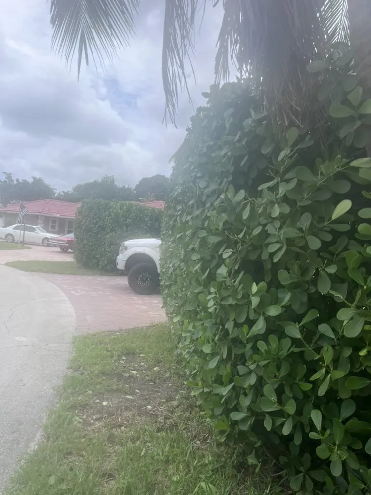 Trusted landscape design experts serving Greenacres, FL - SoonGreen Landscaping Services