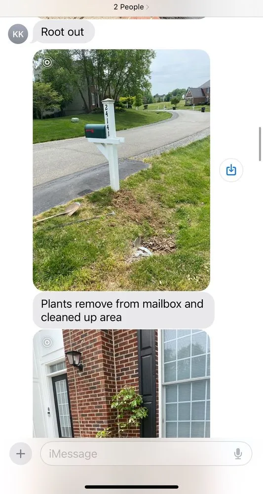 Top-rated landscaping services in Gainesville, VA - Sophia Landscaping and Tree Services