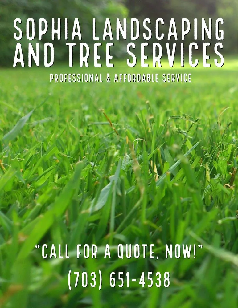 Trusted landscaping services in Gainesville, VA by Sophia Landscaping and Tree Services