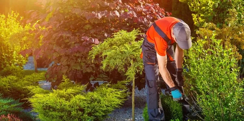 Top-rated landscape design in Gainesville, VA - Sophia Landscaping and Tree Services