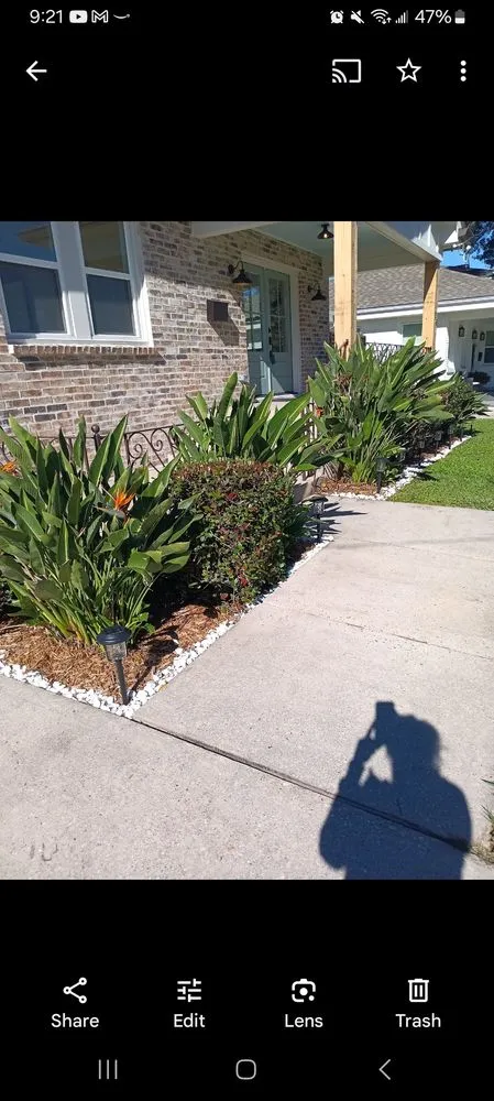 Expert residential landscaping for homes in Metairie, LA by Sophia's Gardening and landscaping services