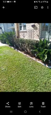 Sophia's Gardening and landscaping services Logo