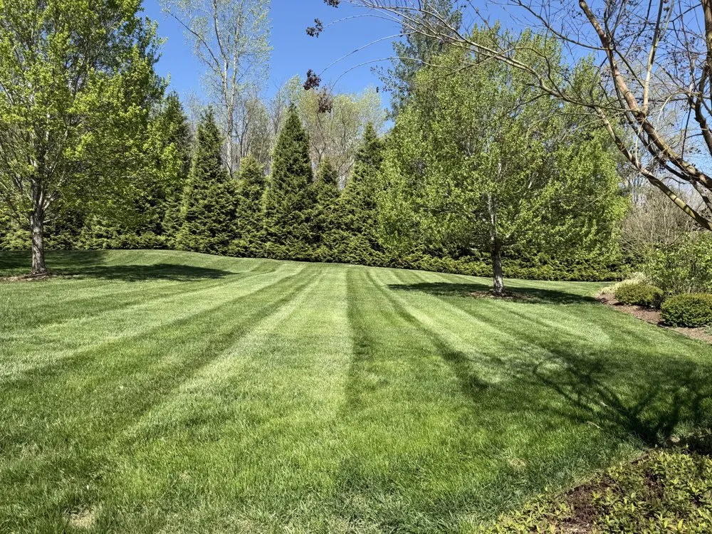 Reliable lawn mowing service in Blountville, TN by Sophisticated Goat