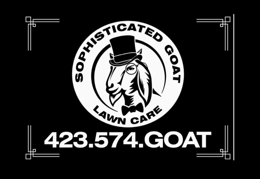 Expert yard cleanup service in Blountville, TN by Sophisticated Goat