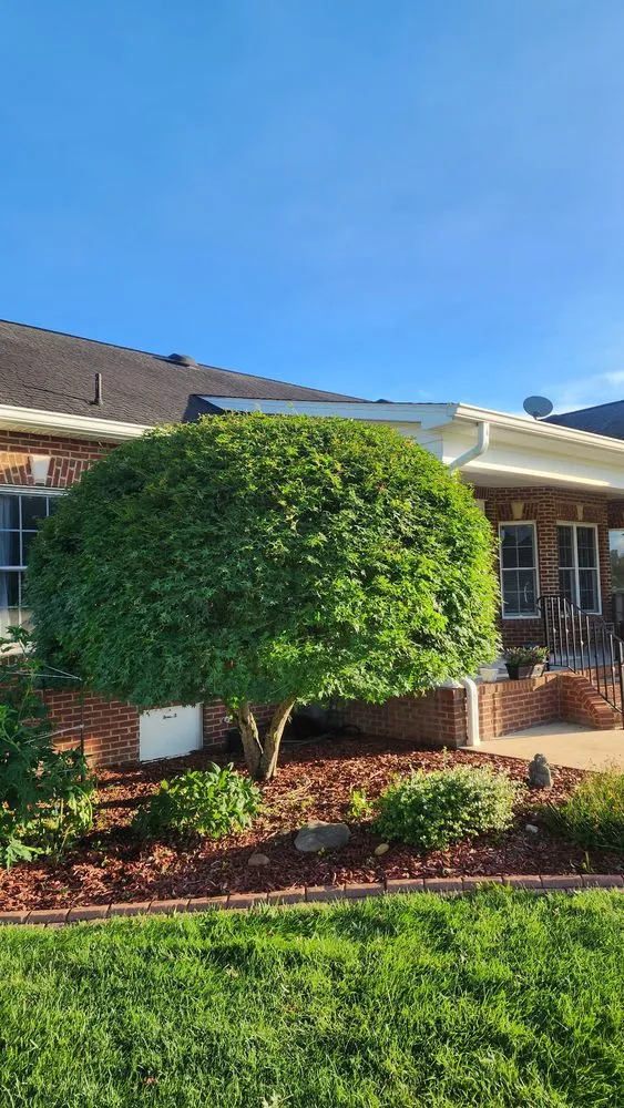 Local lawn mowing service for outdoor upgrades across Blountville, TN - Sophisticated Goat