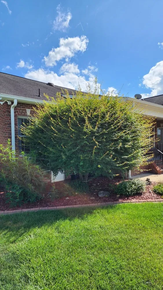 Reliable lawn mowing service for year-round maintenance across Blountville, TN - Sophisticated Goat