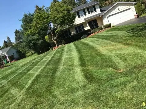 Affordable yard cleanup service in Lackawanna, NY by Sophisticated Home Solutions