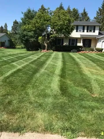 Trusted yard cleanup service experts serving Lackawanna, NY - Sophisticated Home Solutions