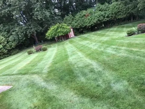 Top-rated yard cleanup service near you across Lackawanna, NY - Sophisticated Home Solutions