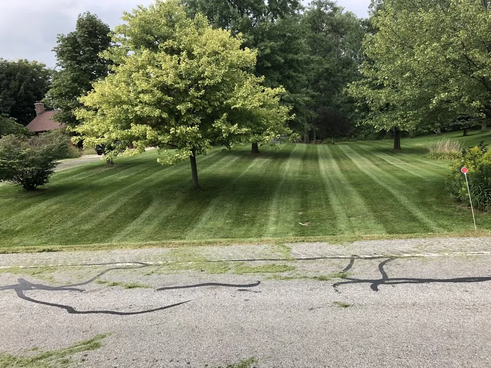 Reliable lawn care service experts serving Lackawanna, NY - Sophisticated Home Solutions