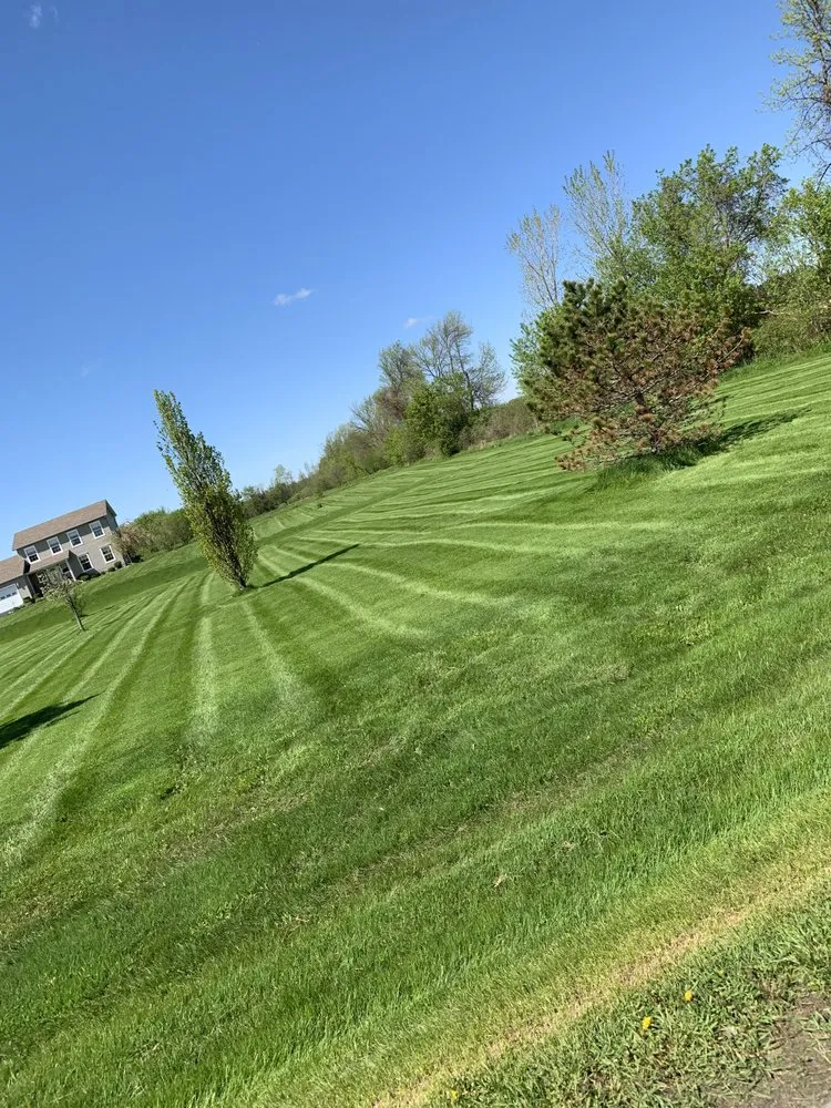 Expert lawn care service experts serving Lackawanna, NY - Sophisticated Home Solutions