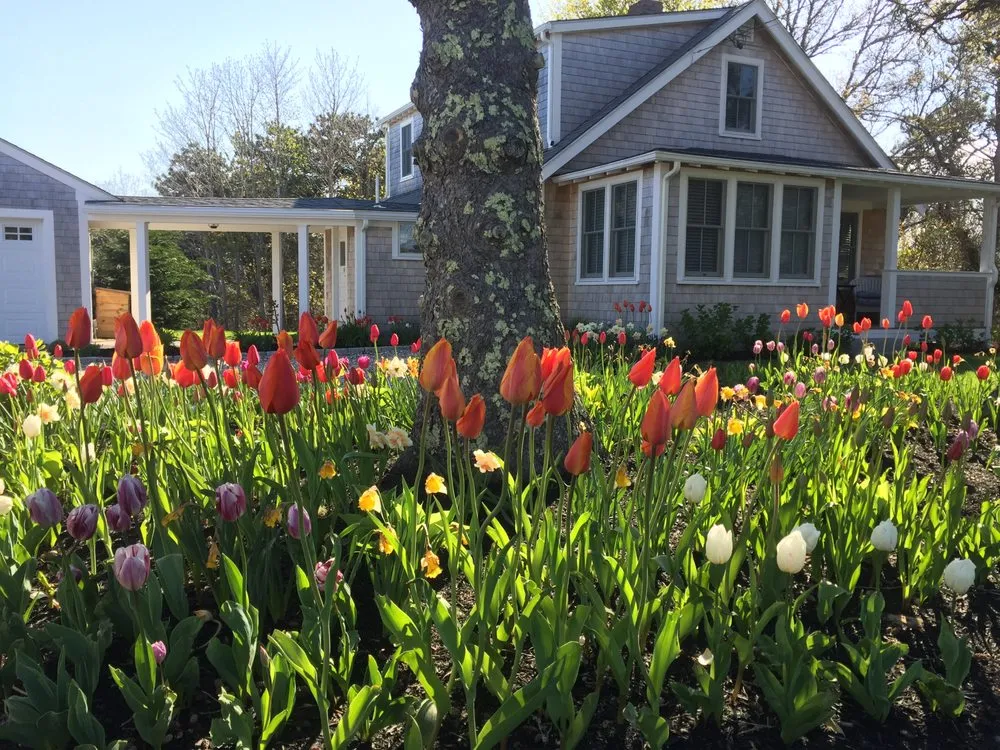Trusted residential landscaping in Chatham, MA by Sorbello Landscaping