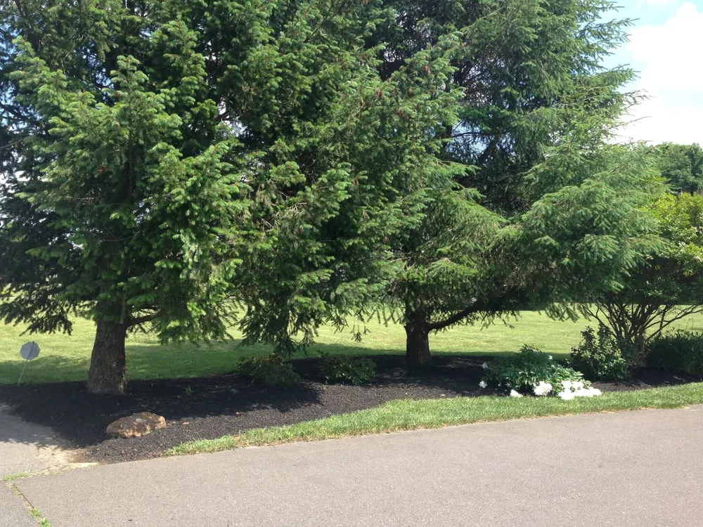 Top-rated lawn mowing service in Harrison Township, NJ - Sorbello's Landscaping