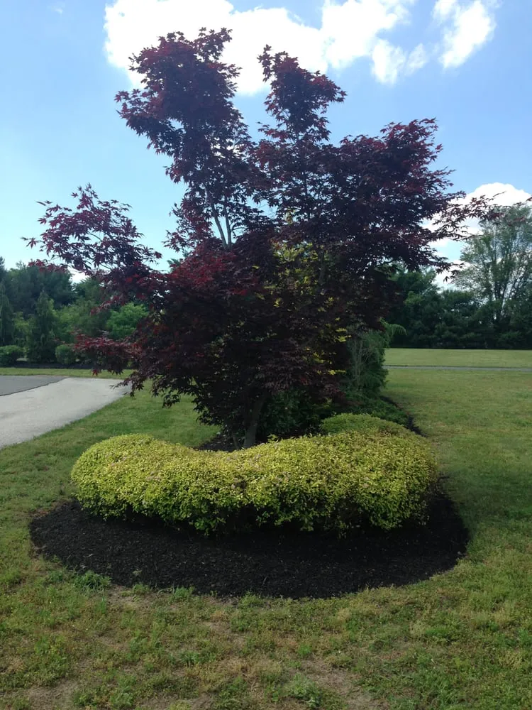 Custom landscape design for year-round maintenance across Harrison Township, NJ - Sorbello's Landscaping