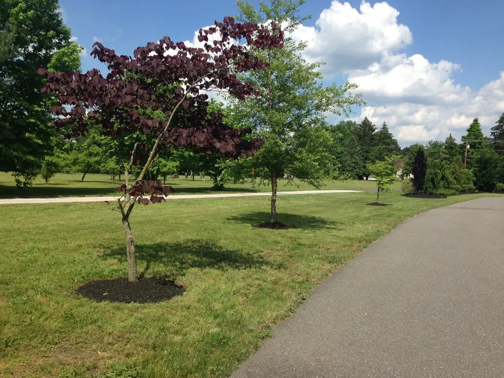Trusted residential landscaping experts serving Harrison Township, NJ - Sorbello's Landscaping