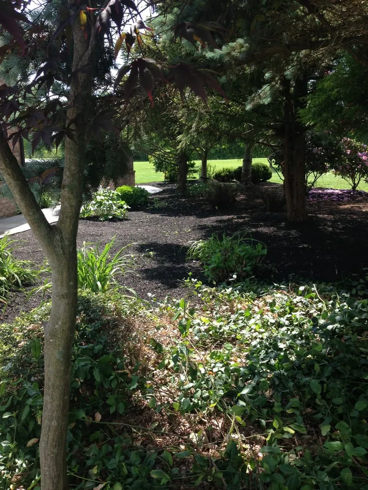 Professional yard maintenance experts serving Harrison Township, NJ - Sorbello's Landscaping