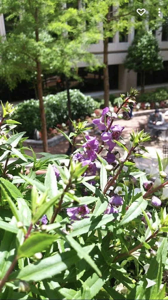 Trusted landscaping services in Liberty, SC - Sorgee Lawn Maintenance