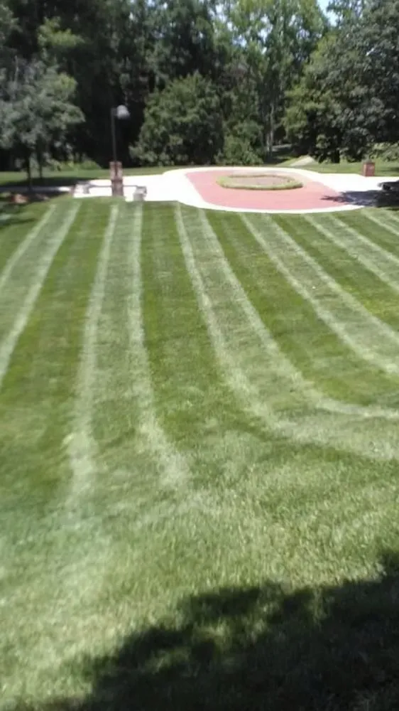 Professional yard cleanup service for year-round maintenance across Liberty, SC - Sorgee Lawn Maintenance