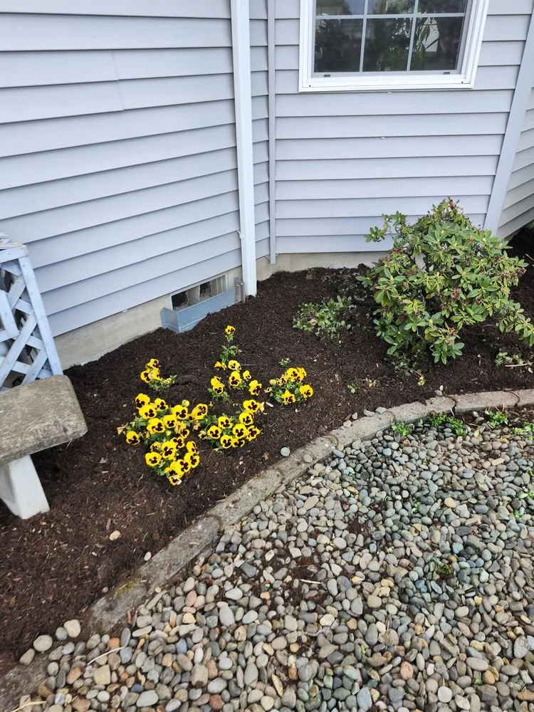 Affordable lawn mowing service for homes across Canby, OR - Soria All Solutions to Your Lawn