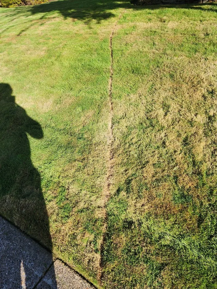 Professional landscape installation in Canby, OR by Soria All Solutions to Your Lawn