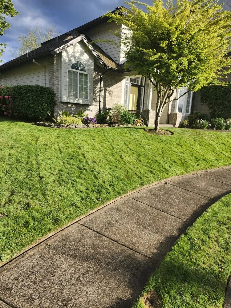 Top-rated lawn mowing service for homes across Canby, OR - Soria All Solutions to Your Lawn
