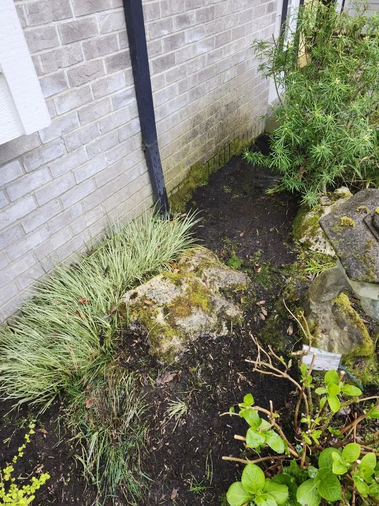 Reliable residential landscaping experts serving Canby, OR - Soria All Solutions to Your Lawn